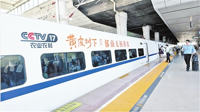 镇镇通高铁！中国最逆天小县城被彻底引爆