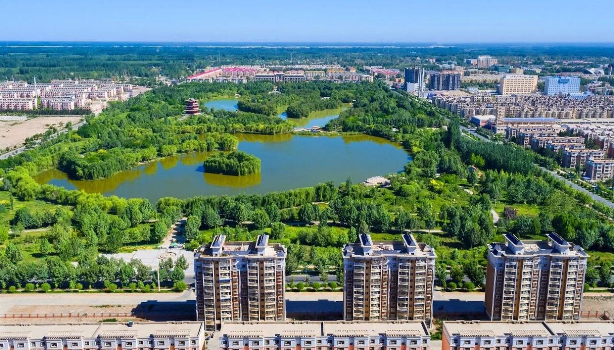 一条梧桐街两座城的牵挂(图2)